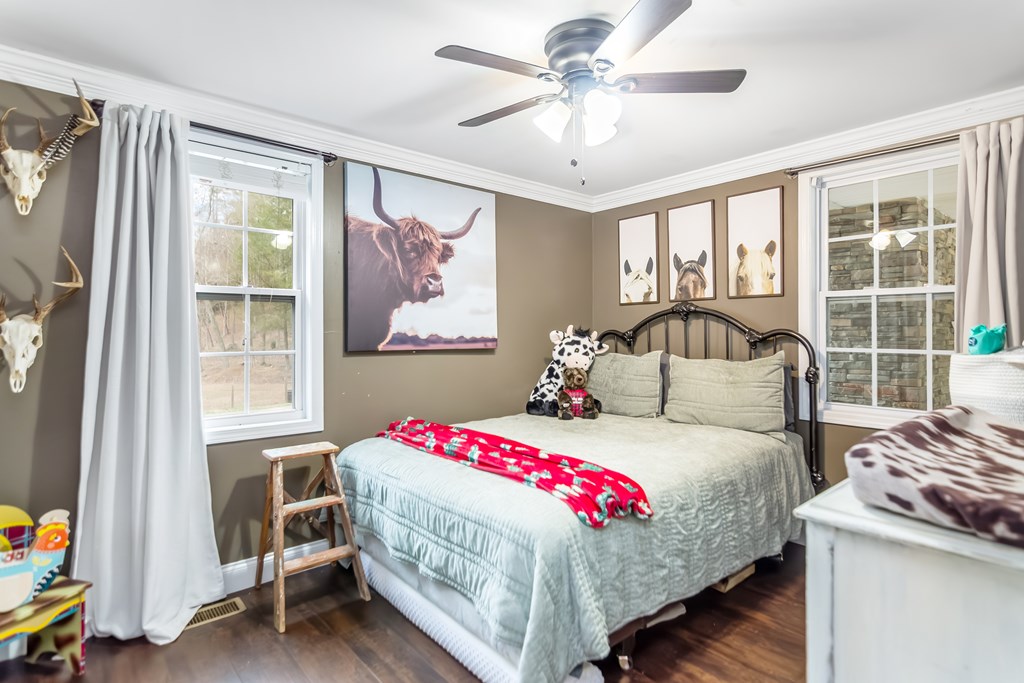 960 Coles Crossing Road Mineral Bluff, GA 30559 - Photo 37 of 57