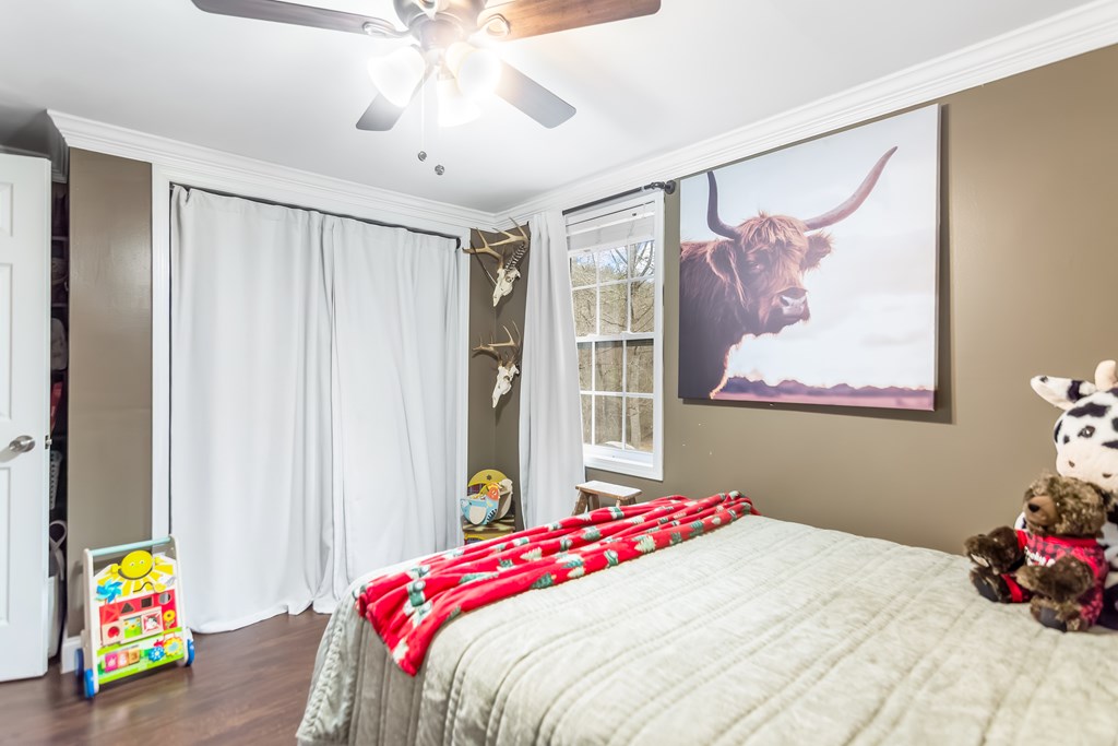 960 Coles Crossing Road Mineral Bluff, GA 30559 - Photo 39 of 57