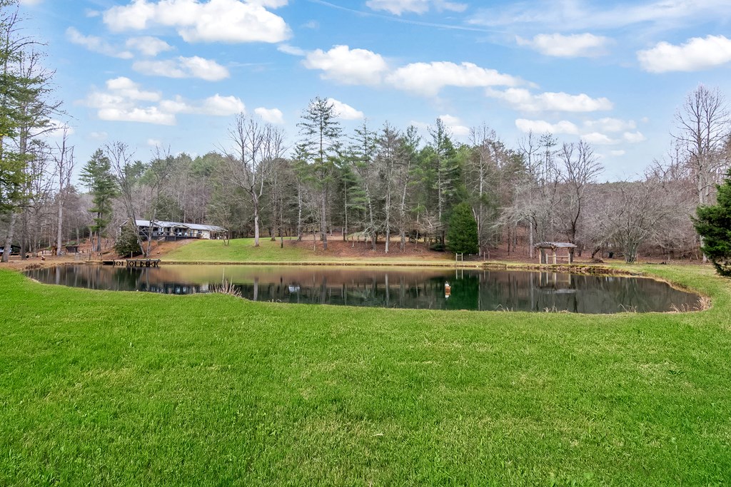 960 Coles Crossing Road Mineral Bluff, GA 30559 - Photo 40 of 57