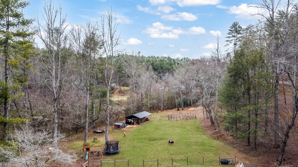 960 Coles Crossing Road Mineral Bluff, GA 30559 - Photo 42 of 57