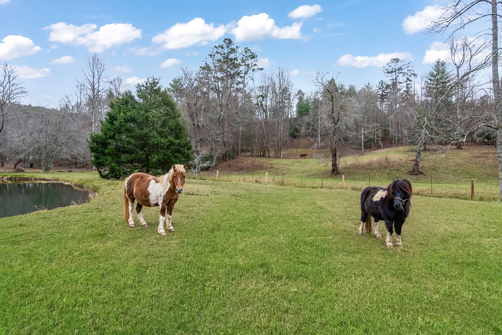 960 Coles Crossing Road Mineral Bluff, GA 30559 - Photo 44 of 57