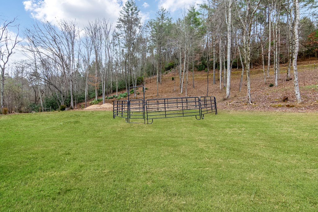 960 Coles Crossing Road Mineral Bluff, GA 30559 - Photo 46 of 57