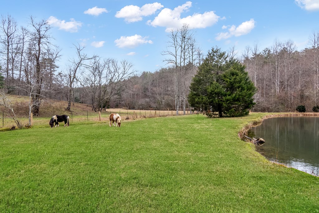 960 Coles Crossing Road Mineral Bluff, GA 30559 - Photo 47 of 57