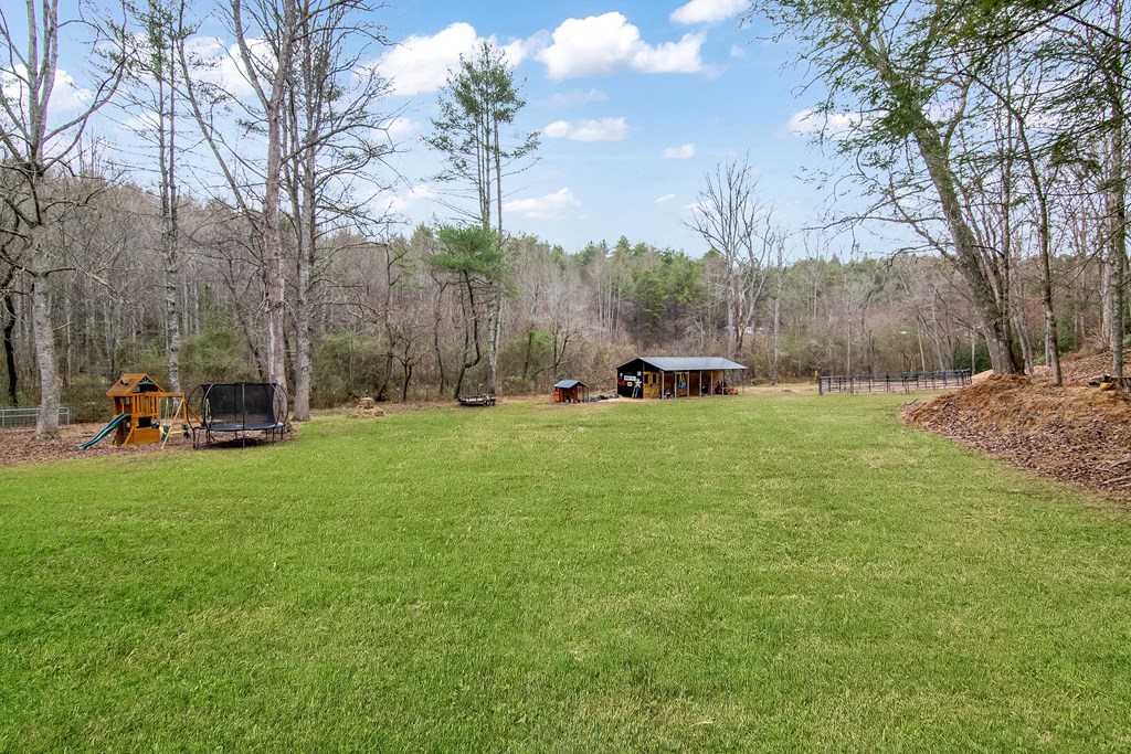 960 Coles Crossing Road Mineral Bluff, GA 30559 - Photo 49 of 57