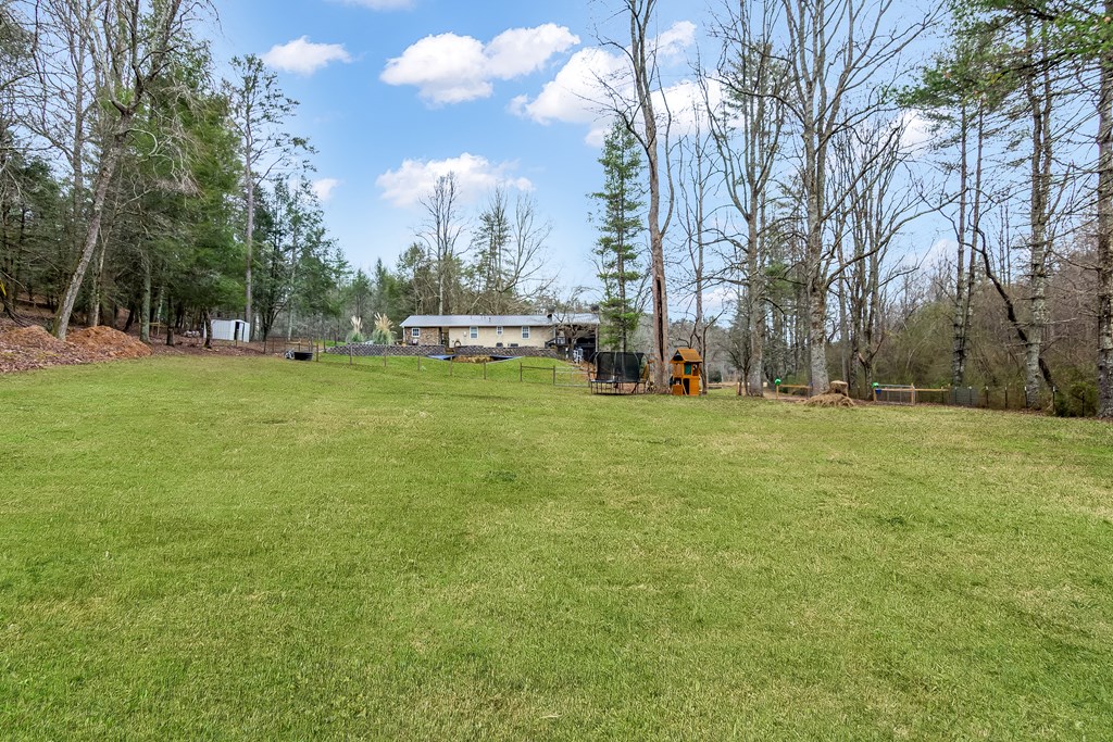 960 Coles Crossing Road Mineral Bluff, GA 30559 - Photo 50 of 57