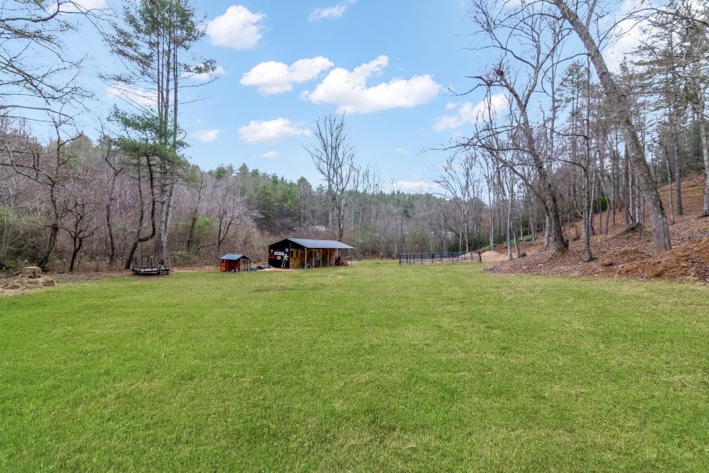 960 Coles Crossing Road Mineral Bluff, GA 30559 - Photo 51 of 57