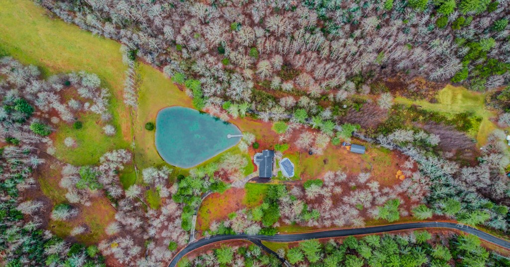 960 Coles Crossing Road Mineral Bluff, GA 30559 - Photo 53 of 57