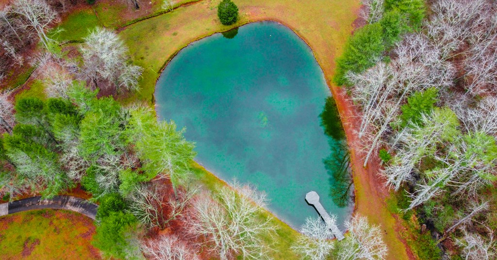 960 Coles Crossing Road Mineral Bluff, GA 30559 - Photo 55 of 57