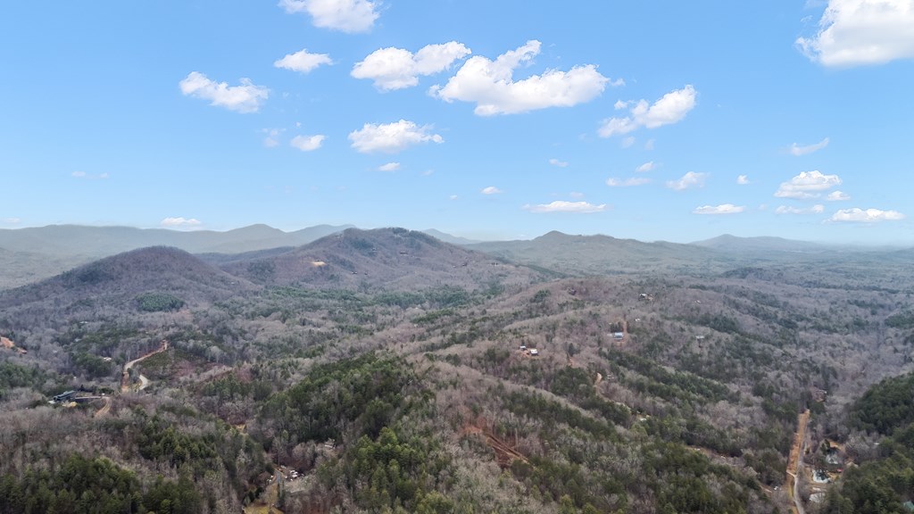 960 Coles Crossing Road Mineral Bluff, GA 30559 - Photo 57 of 57