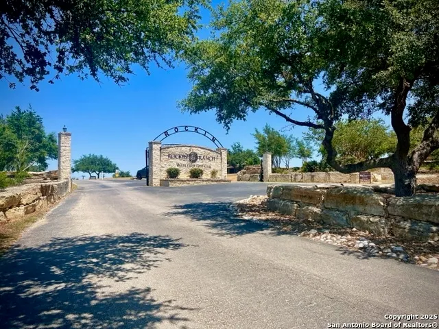a street view with large trees