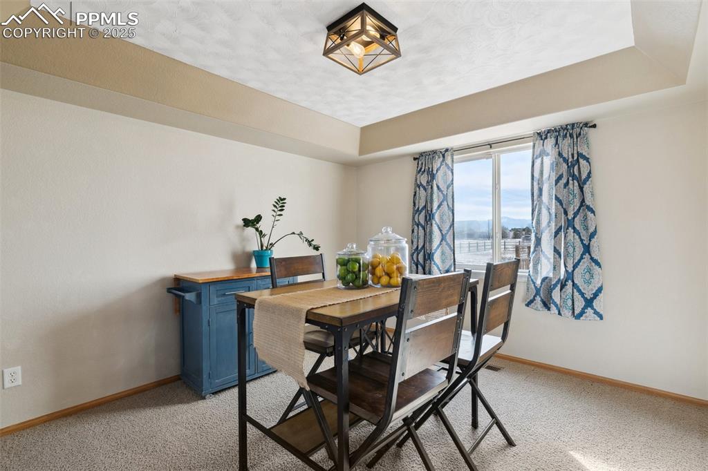 8518 Bohleen Road Peyton, CO 80831 - Photo 12 of 44 a dining room with furniture and window