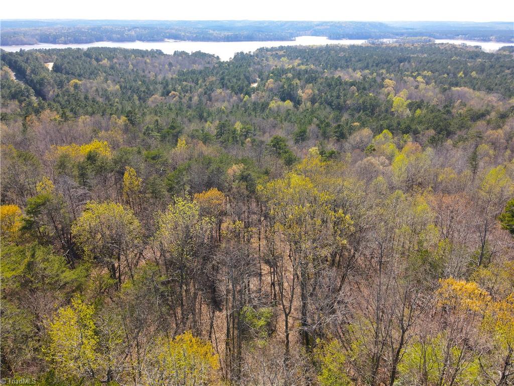 173 Lake View Pass Rockingham, NC 28379 - Photo 7 of 19