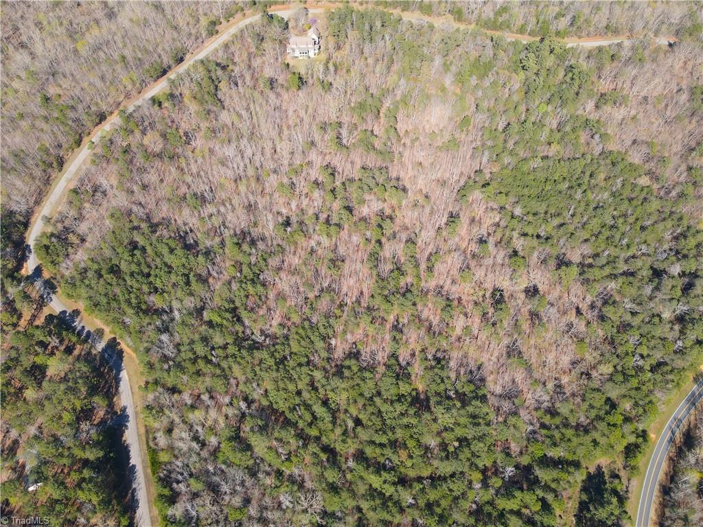 173 Lake View Pass Rockingham, NC 28379 - Photo 8 of 19