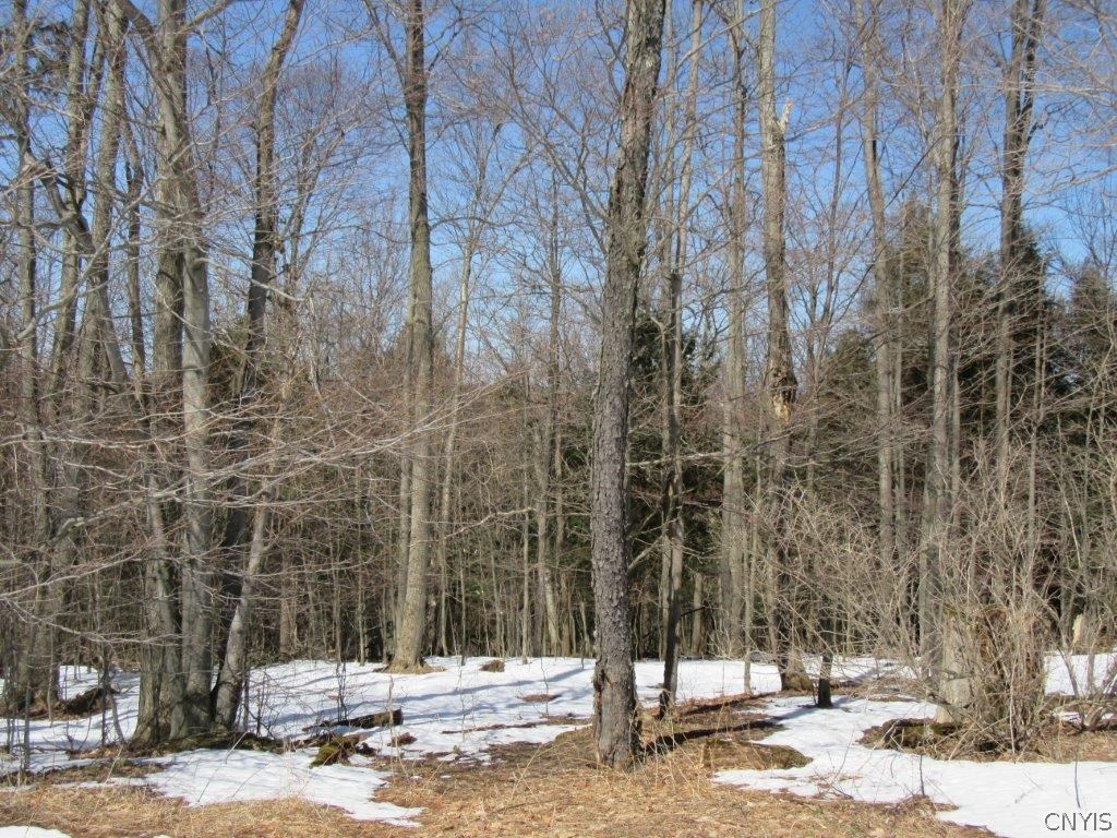0 Larkin Road Hubbardsville, NY 13355 - Photo 10 of 35