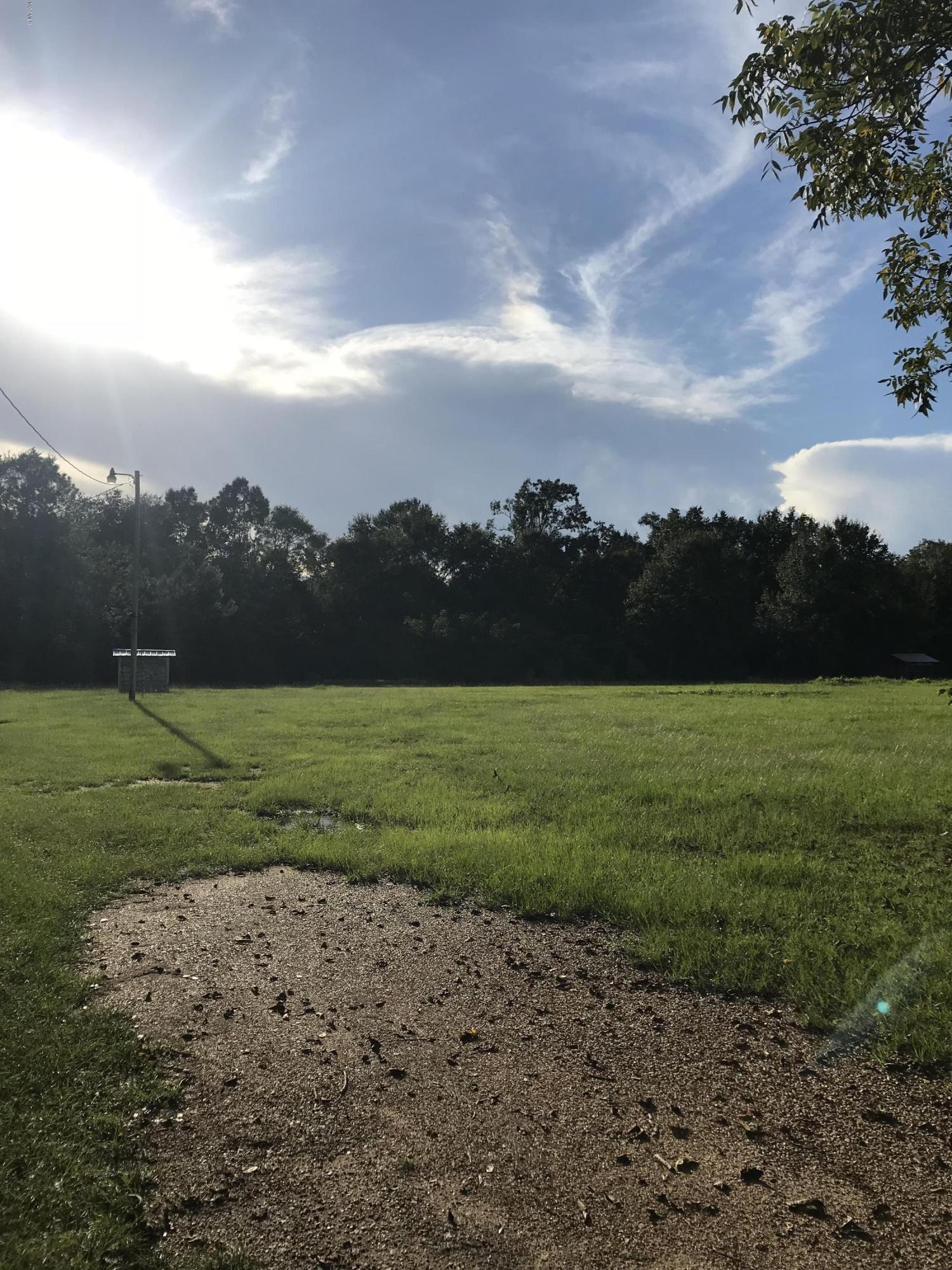1.24-ac Harmon Pope Road Lucedale, MS 39452 - Photo 2 of 13 IMG_0019 2