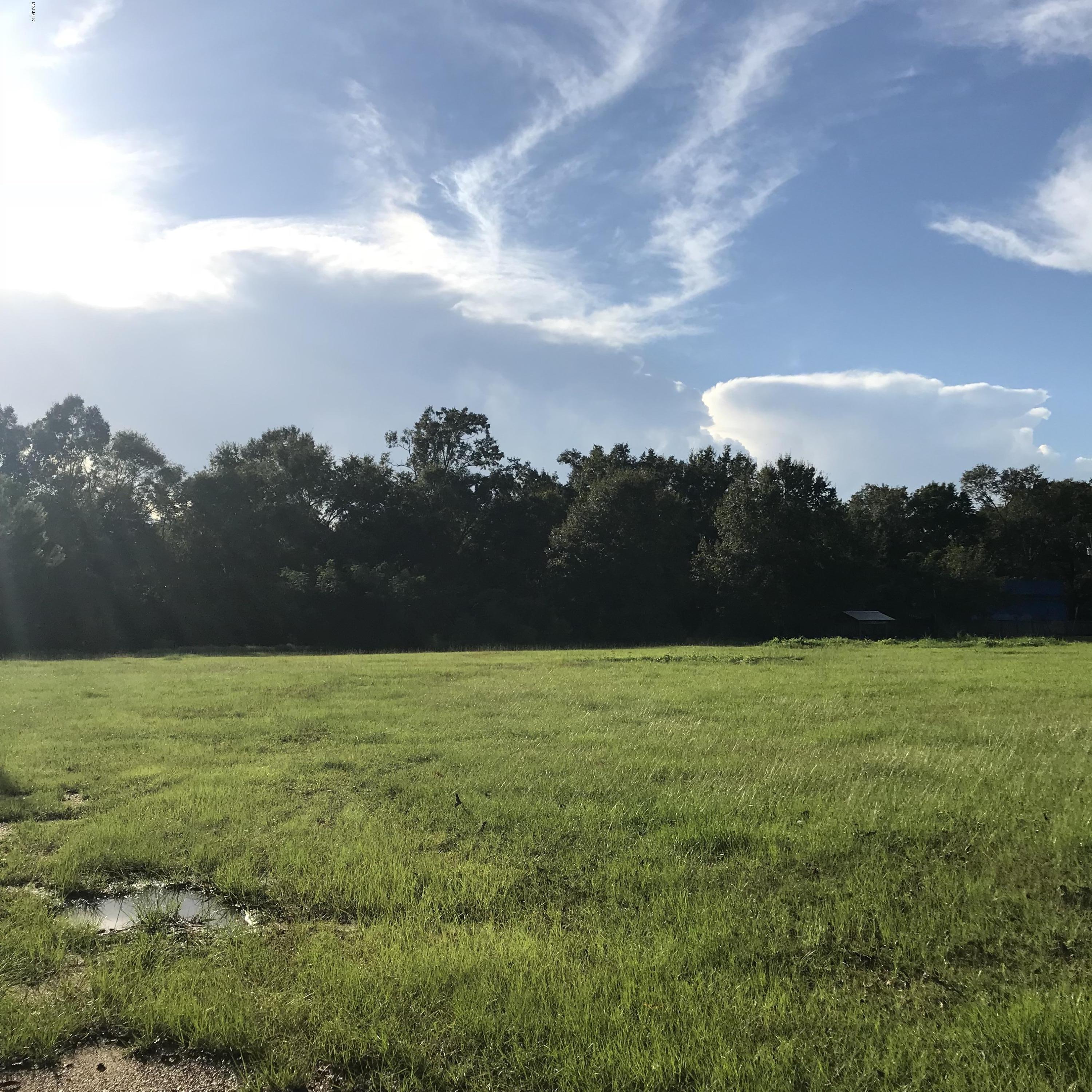 1.24-ac Harmon Pope Road Lucedale, MS 39452 - Photo 3 of 13 IMG_0698 2