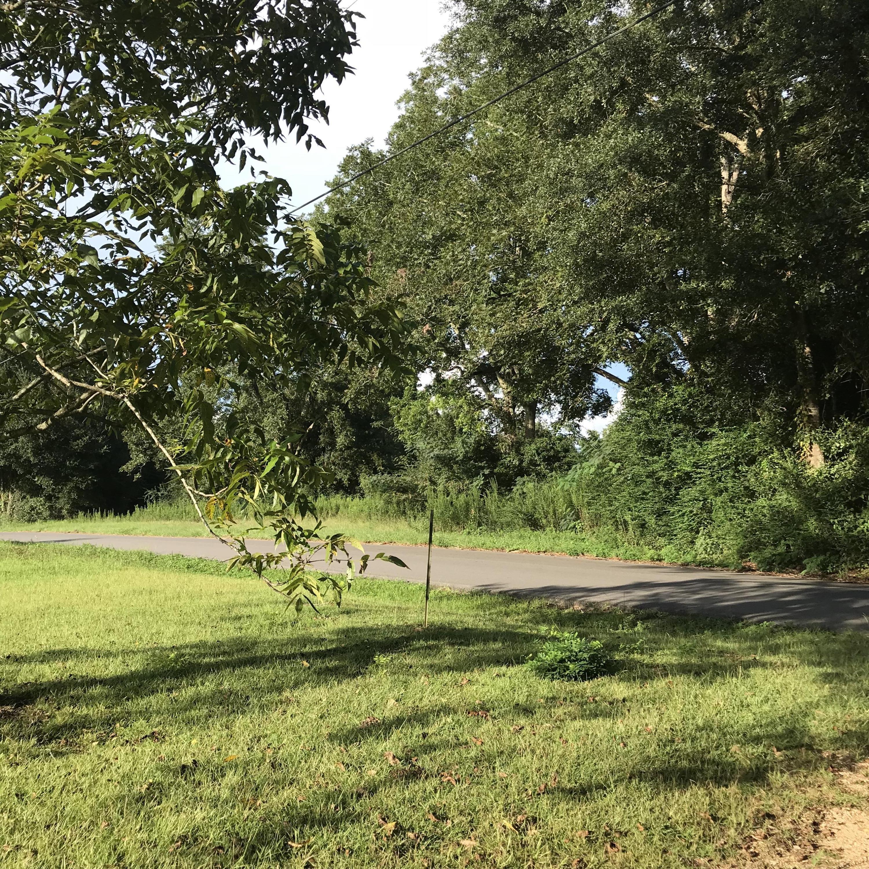 1.24-ac Harmon Pope Road Lucedale, MS 39452 - Photo 6 of 13 IMG_0701 2