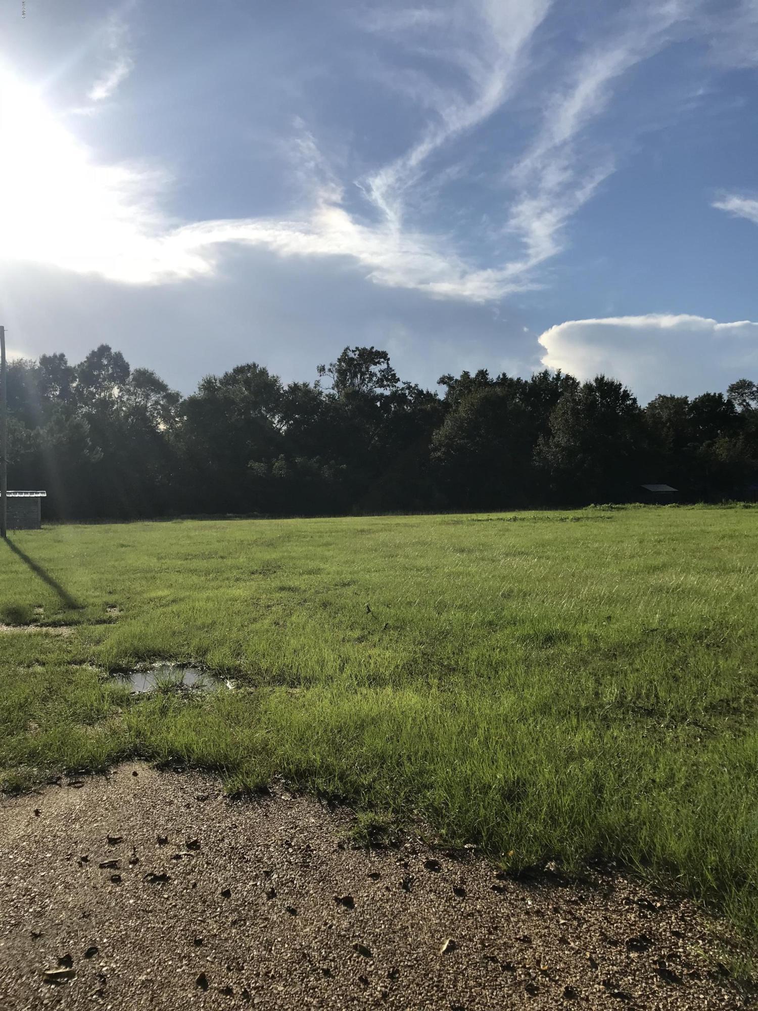 1.24-ac Harmon Pope Road Lucedale, MS 39452 - Photo 10 of 13 IMG_4771 2