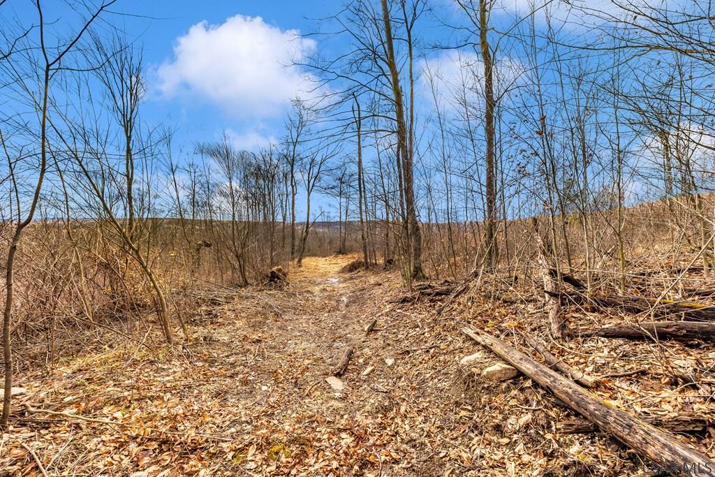 0 Lot 6 Mountain Road Lilly, PA 15938 - Photo 23 of 33 Gallery Image 23