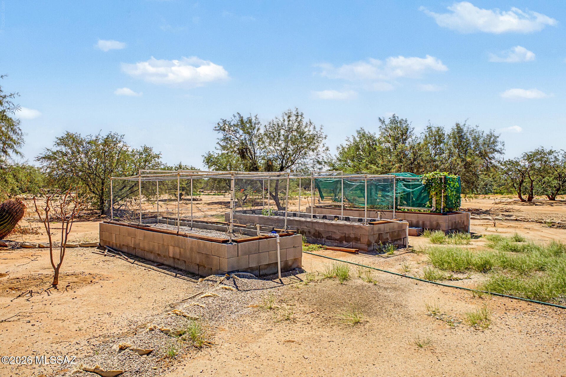 6700 South Marstellar Road Tucson, AZ 85735 - Photo 25 of 27 Above Ground Gardens