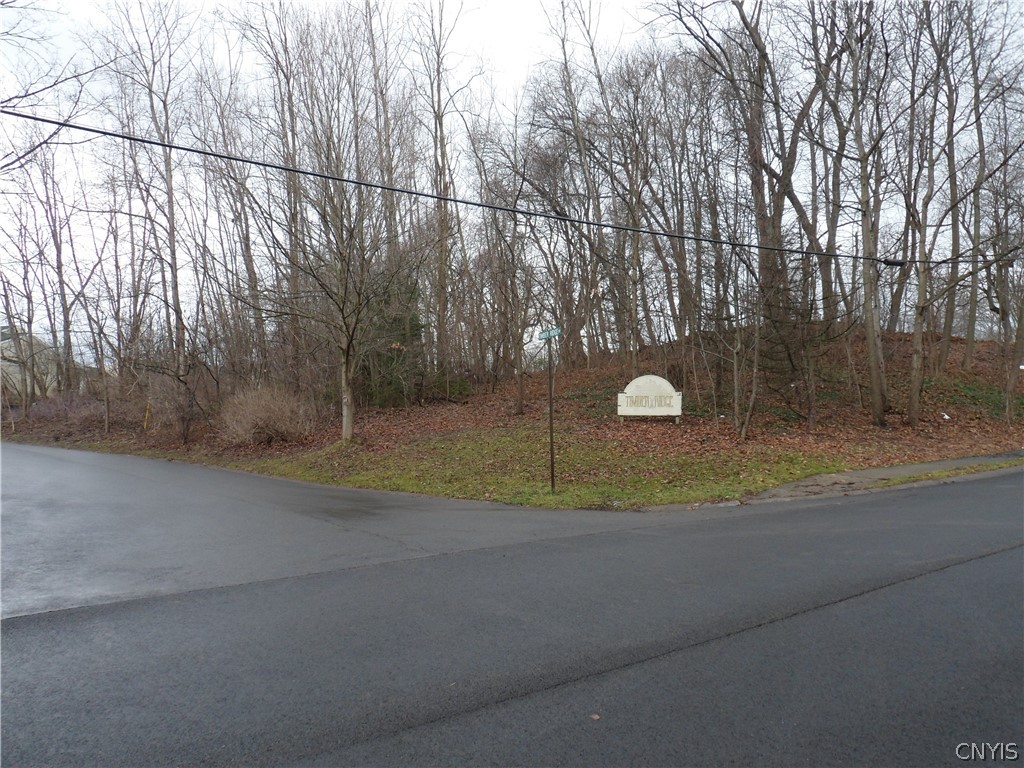 100-102 Timber Ridge Drive Camillus, NY 13031 - Photo 1 of 1 Gallery Image 1