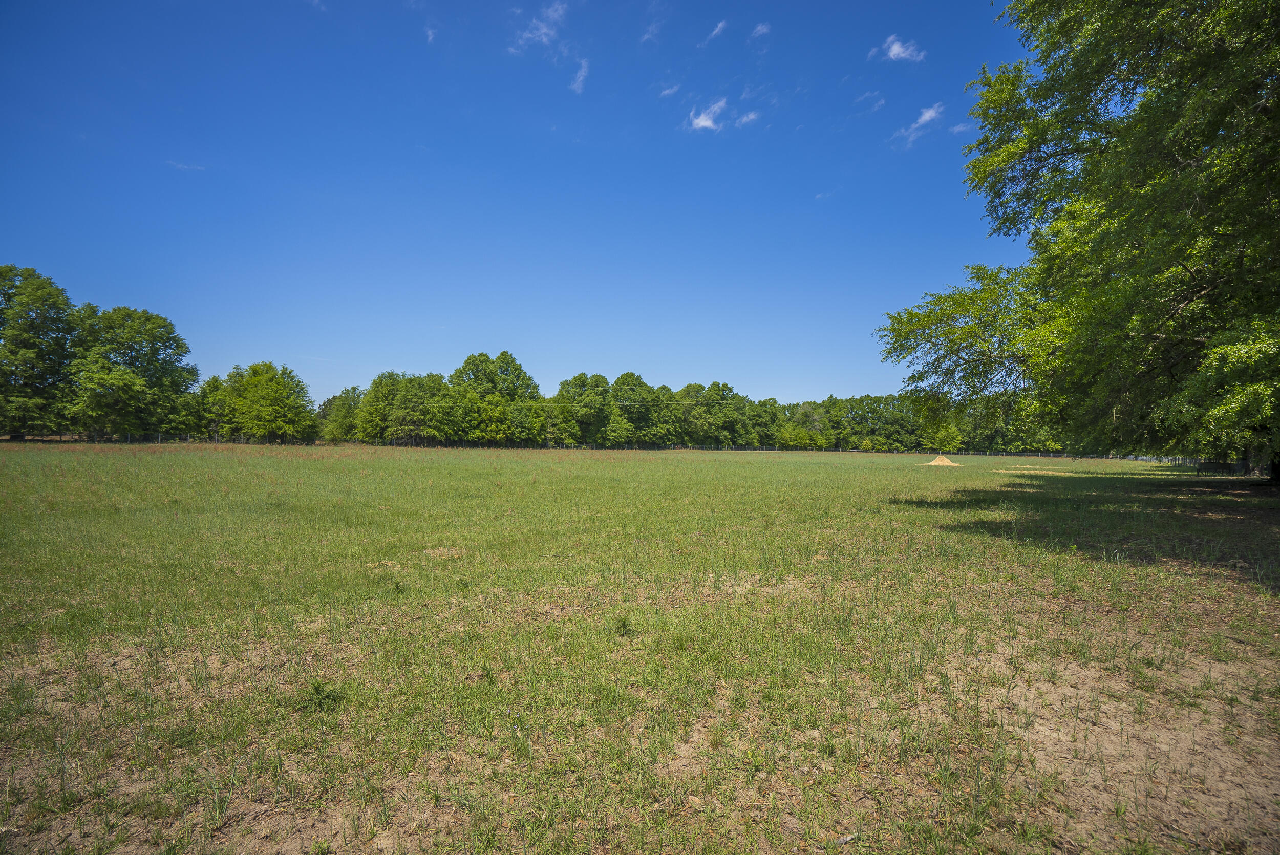 246 Stonemint Drive Springfield, SC 29146 - Photo 7 of 45