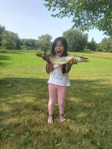 $80,000 | Parcel C North Stephens Road, Custer, MI 49405