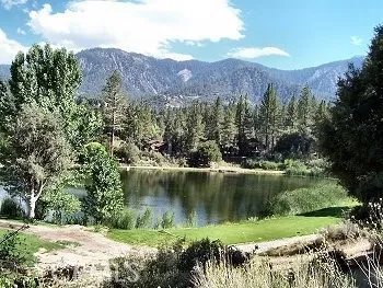 $1,800 | 1811 Zermatt Drive, Pine Mountain Club, CA 93222