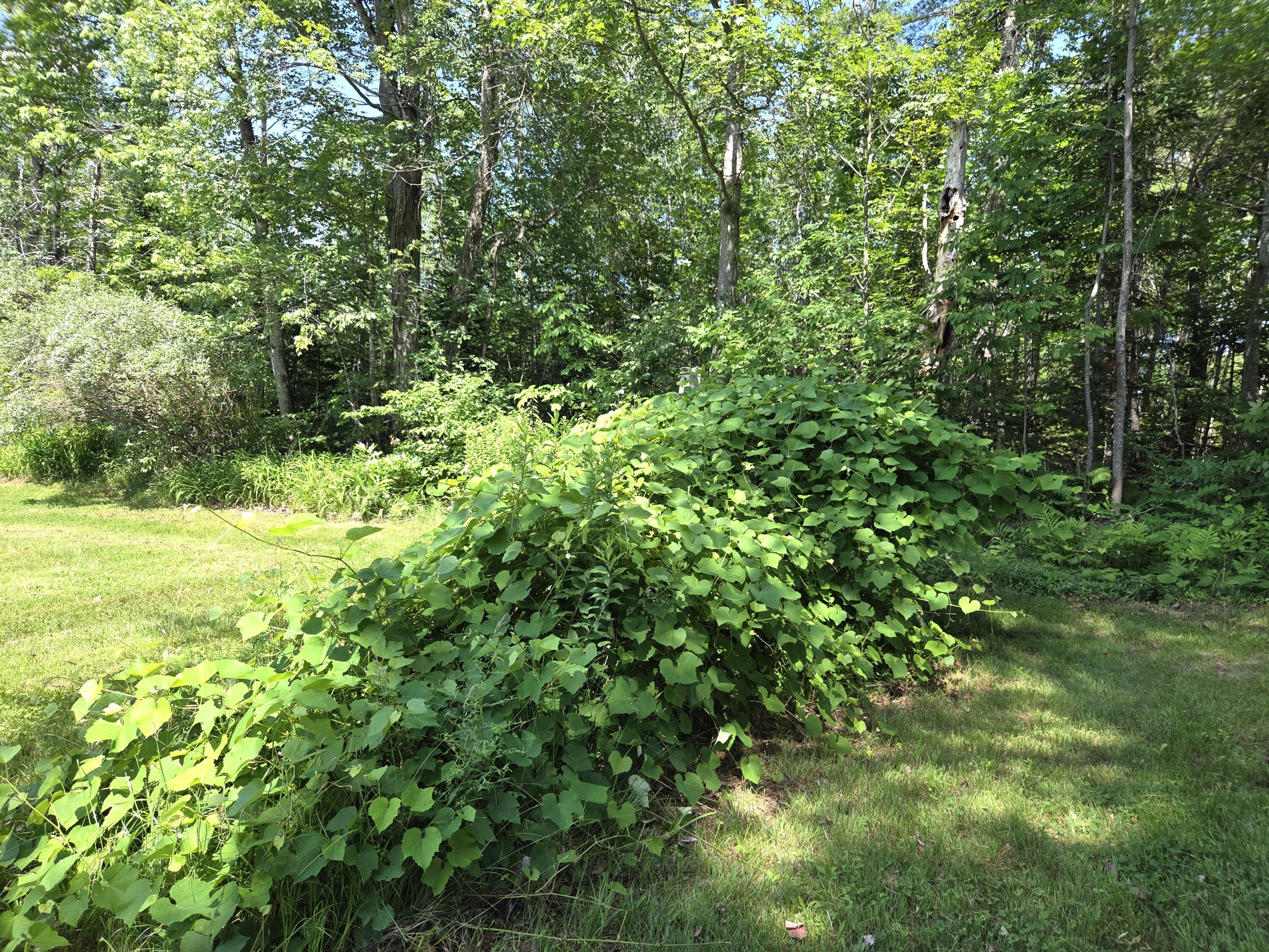 1462 Waterville Road Waldo, ME 04915 - Photo 47 of 70 20260706_110749