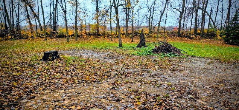 4760 Country Shores Southwest Alexandria, MN 56308 - Photo 8 of 9