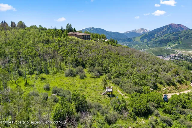 a view of a lush green forest with trees in the background