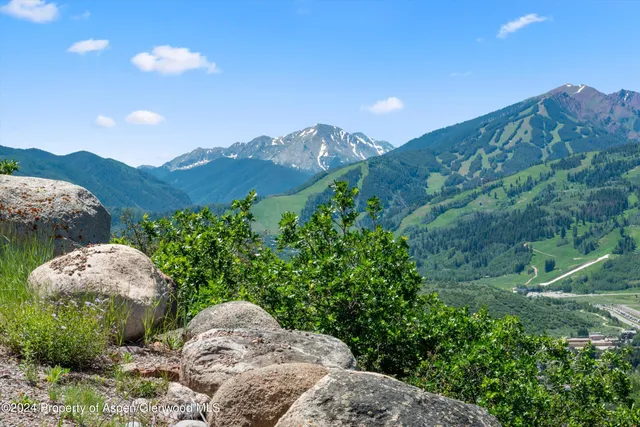 a view of a backyard with green space