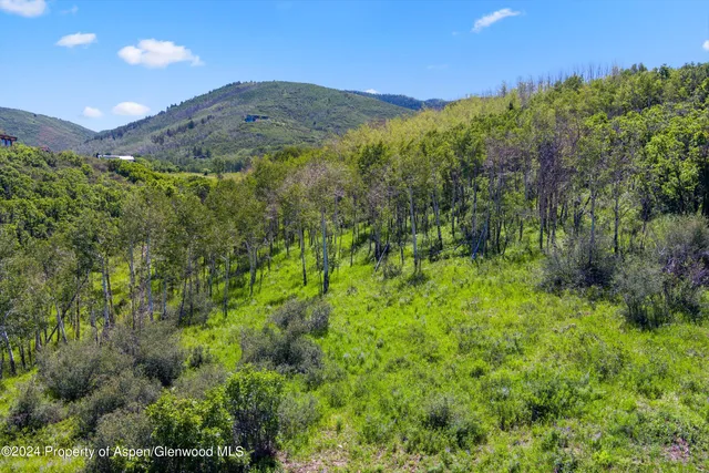 a view of a large mountains with lots of trees