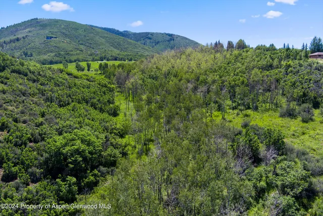 a view of a lush green forest with a building in the background