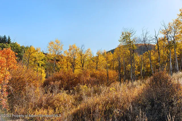 $7,900,000 | Tbd Trentaz Drive, Aspen, CO 81612