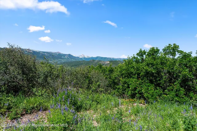 a view of a city with lush green forest