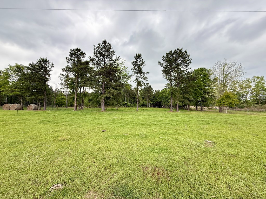 1452 Coot Adams Road Ashford, AL 36312 - Photo 60 of 64