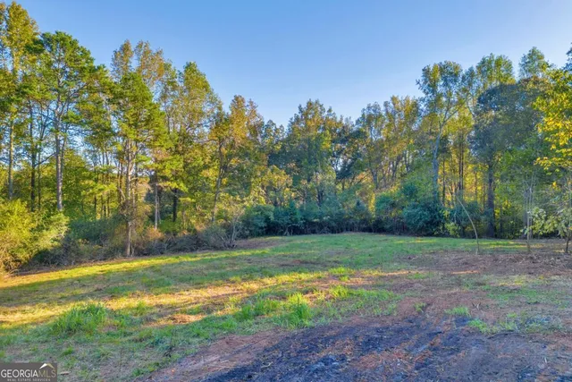 a view of backyard with green space