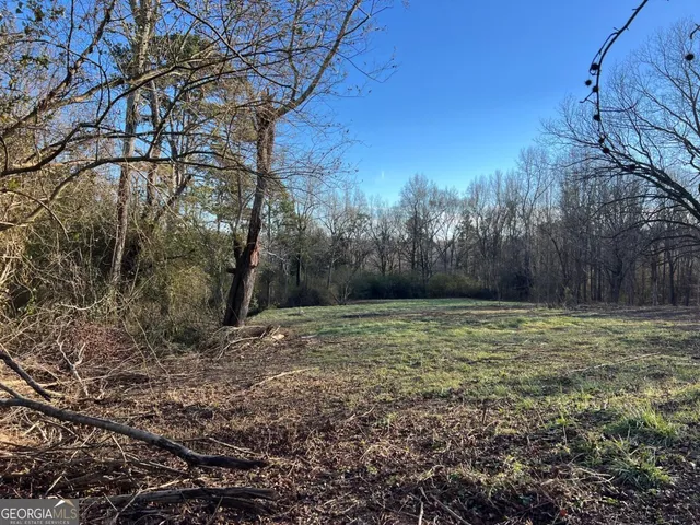 a view of backyard of the house