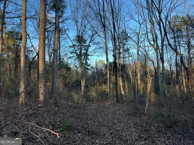 $469,000 | 4638 Highway 63, Carnesville, GA 30521