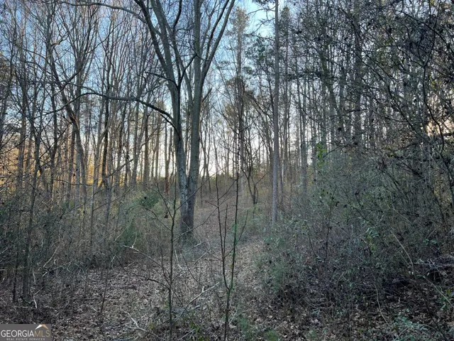 $469,000 | 4638 Highway 63, Carnesville, GA 30521