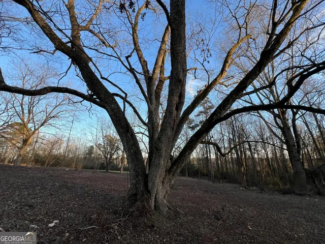 $469,000 | 4638 Highway 63, Carnesville, GA 30521