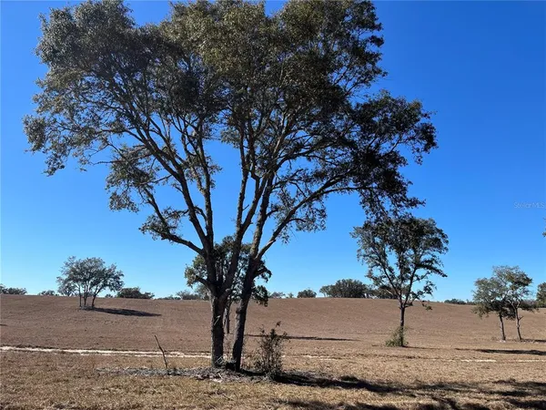 $3,500 | 6920 Southwest 209th Avenue, Dunnellon, FL 34431