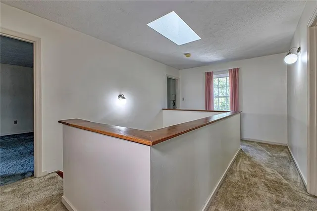 a view of a backyard with plants and large tree