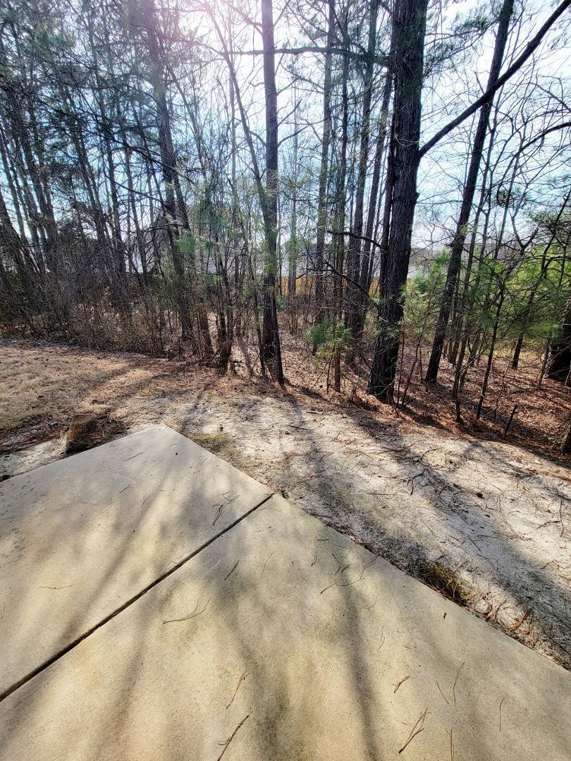 3944 Volkswalk Place Raleigh, NC 27610 - Photo 44 of 45 Photo #44