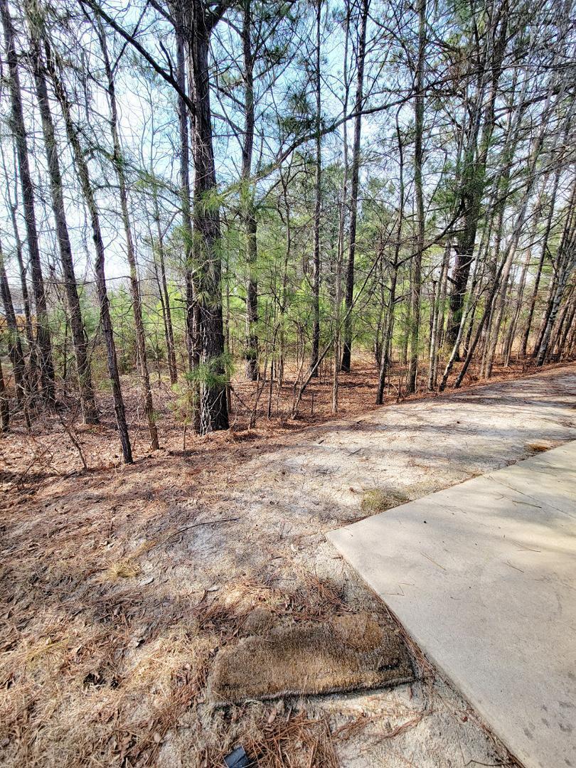 3944 Volkswalk Place Raleigh, NC 27610 - Photo 45 of 45 Photo #45