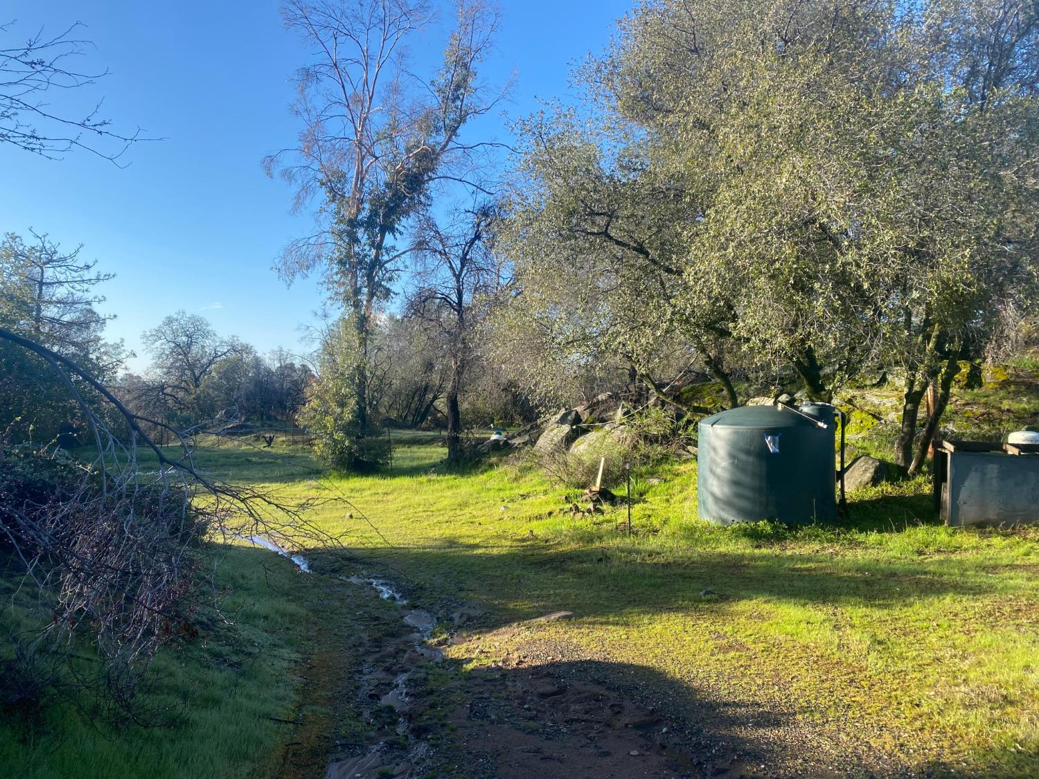 4297 Grist Road Mariposa, CA 95338 - Photo 2 of 5 a view of a yard with swimming pool