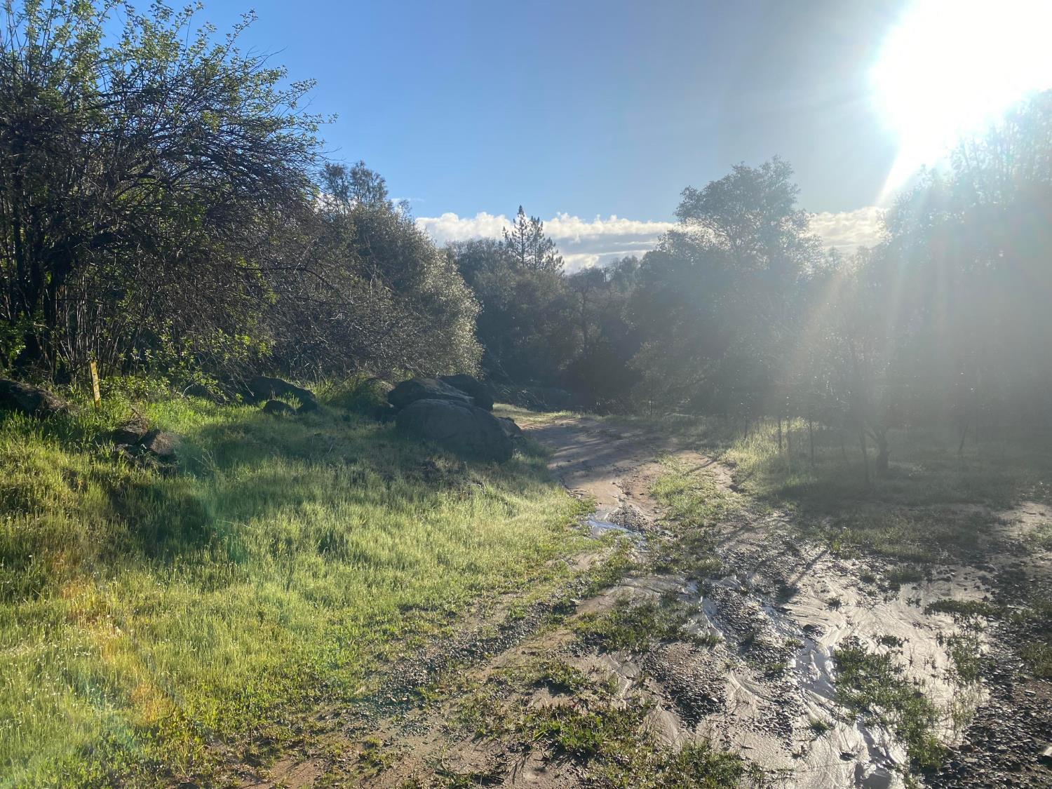 4297 Grist Road Mariposa, CA 95338 - Photo 3 of 5 a view of a yard