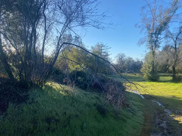 a view of a yard with an trees