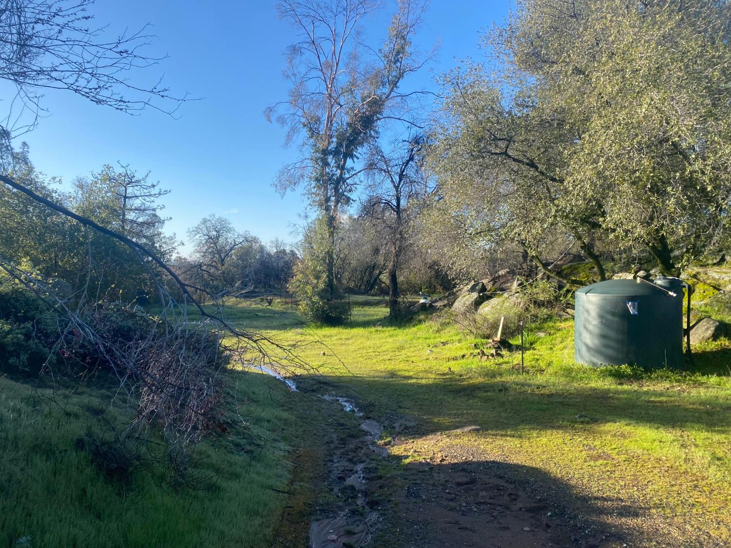4297 Grist Road Mariposa, CA 95338 - Photo 5 of 5 a view of a swimming pool with a yard